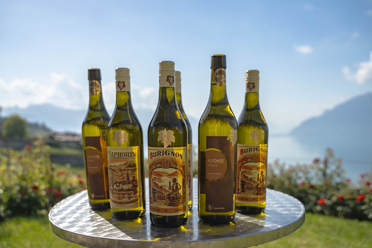 Nos Vins