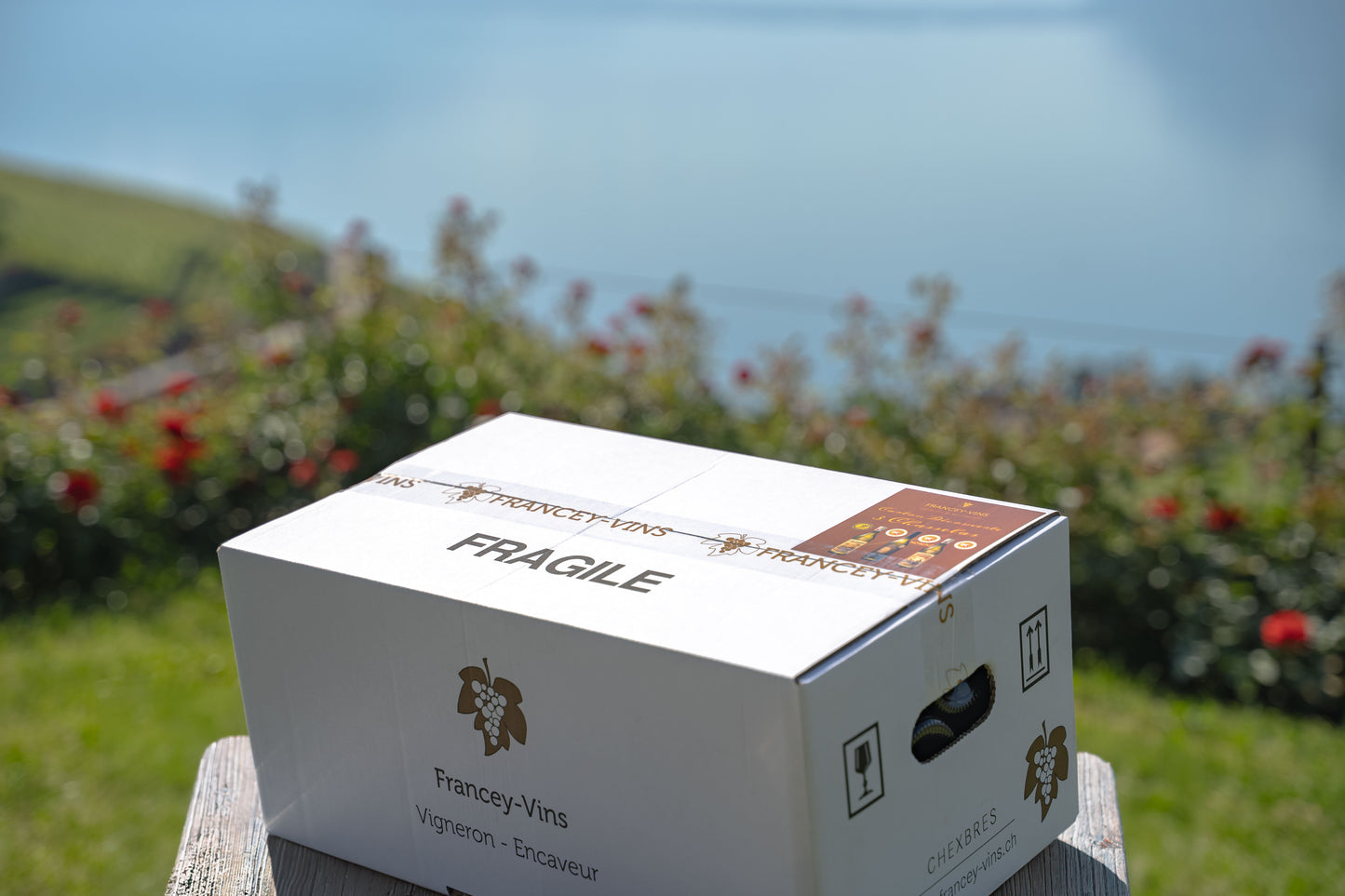 Carton découverte chasselas 12 bouteilles