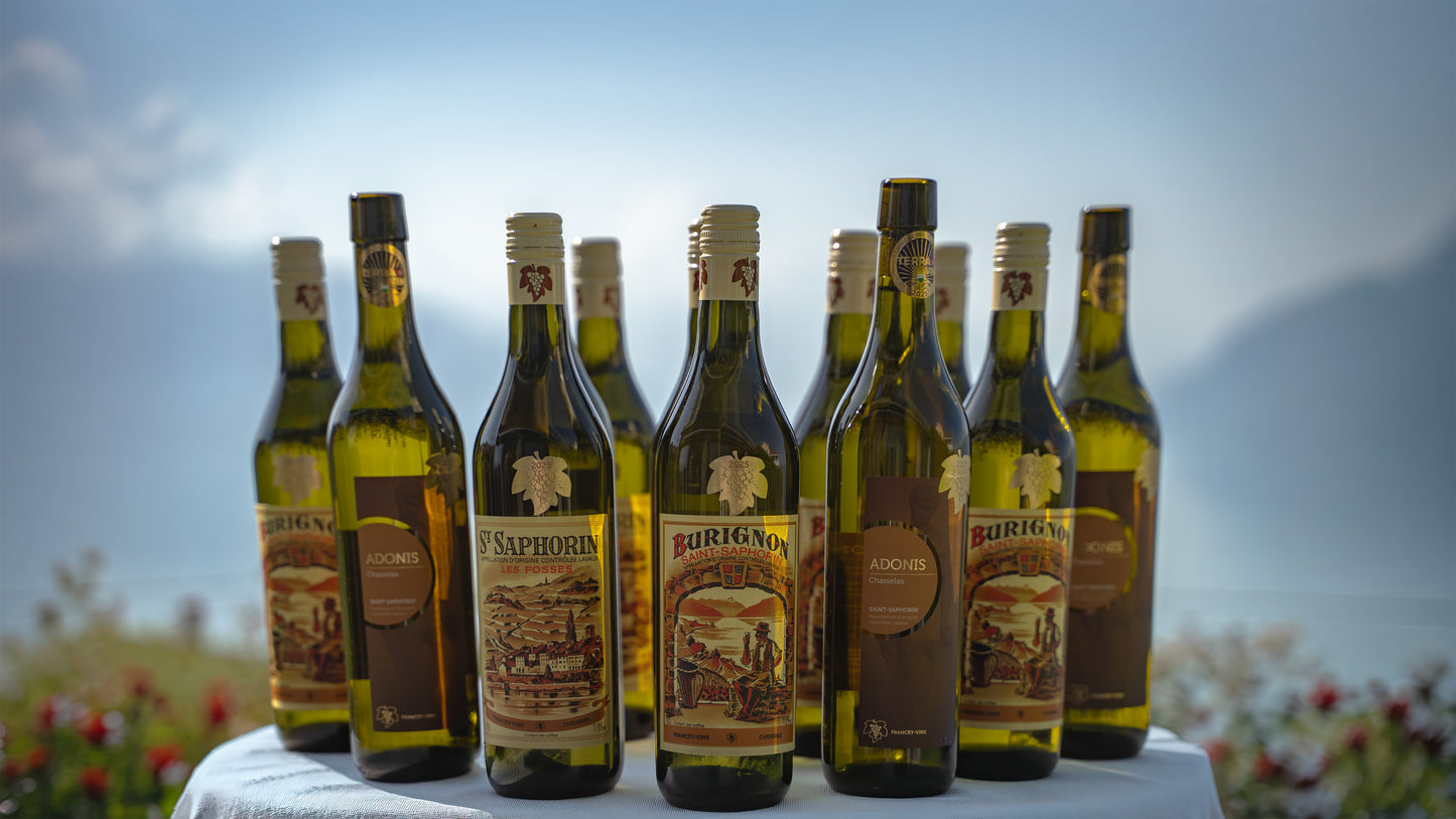 discovery collection 12 bottles Chasselas  Francey Vins