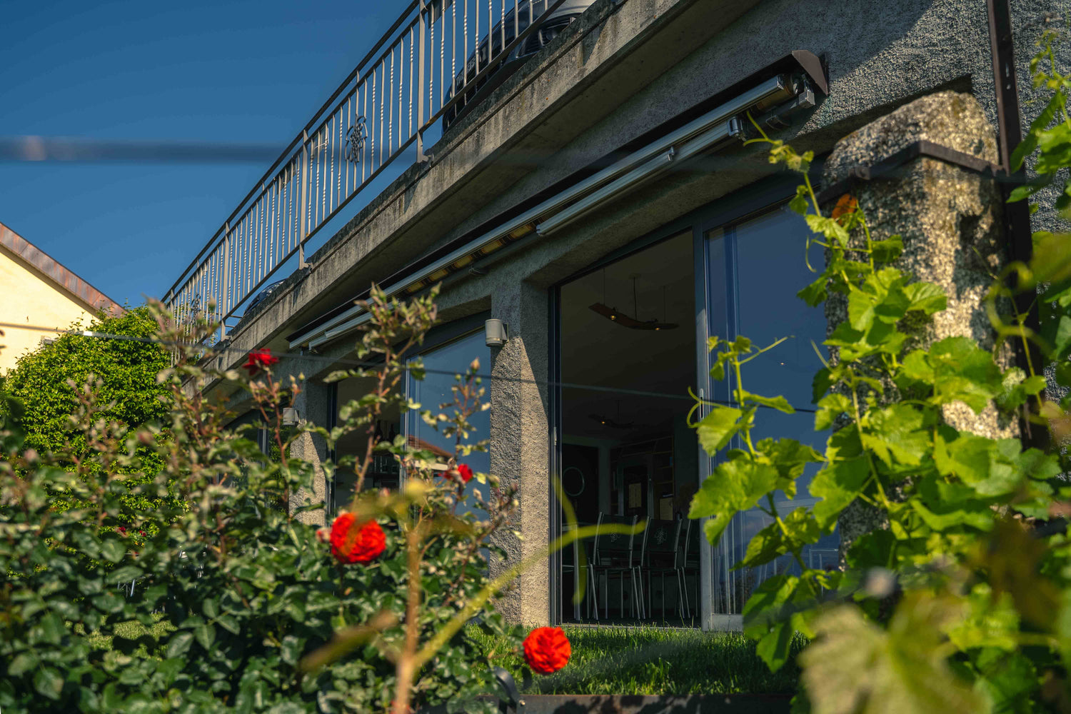 Vue extérieure de La Véranda Francey Vins, espace de dégustation avec grandes baies vitrées et jardin à Lavaux.