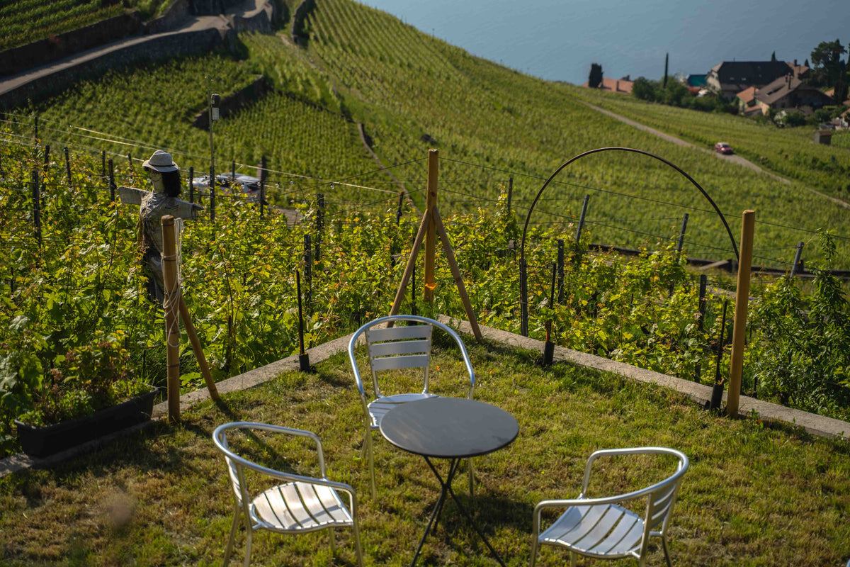 Tables et chaises des Gradins Francey Vins, installées dans un jardin extérieur au cœur de Lavaux.