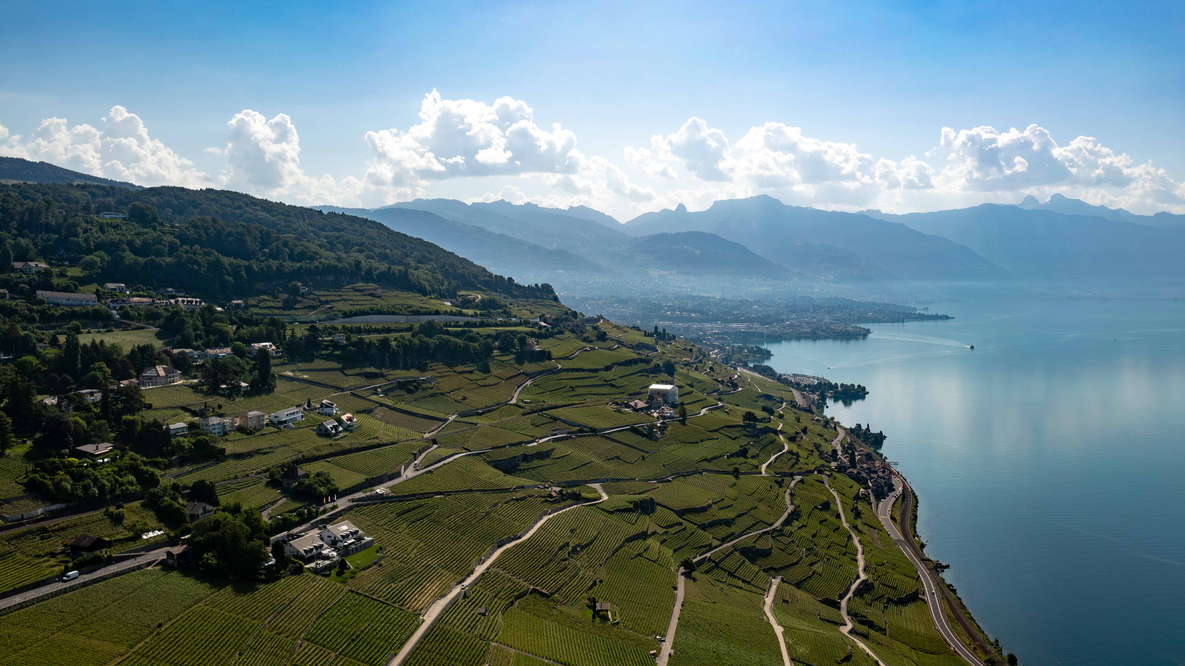 Vue panoramique sur les vignobles en terrasses de Lavaux, le lac Léman et les montagnes depuis Saint-Saphorin.