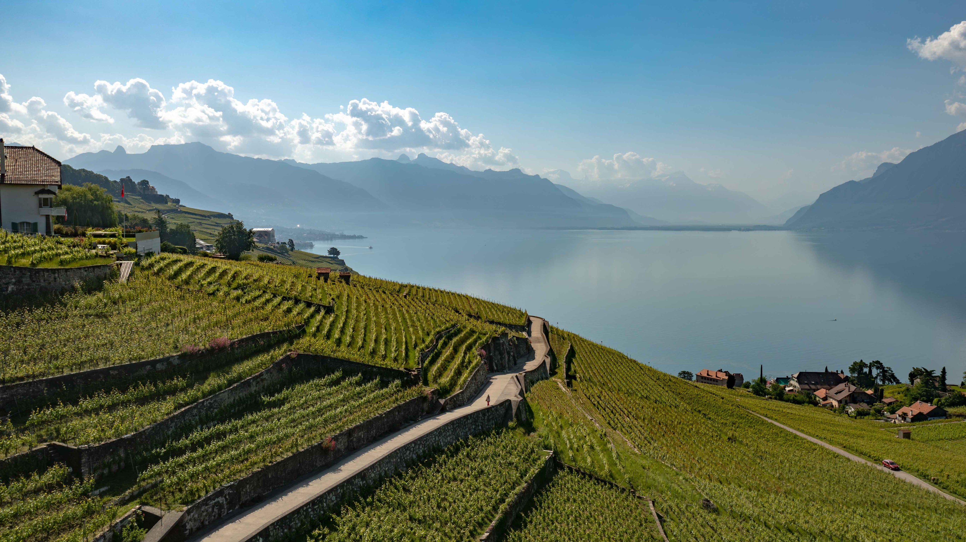 
Vue panoramique sur les vignobles en terrasses de Lavaux, le lac Léman et les montagnes depuis Saint-Saphorin.

