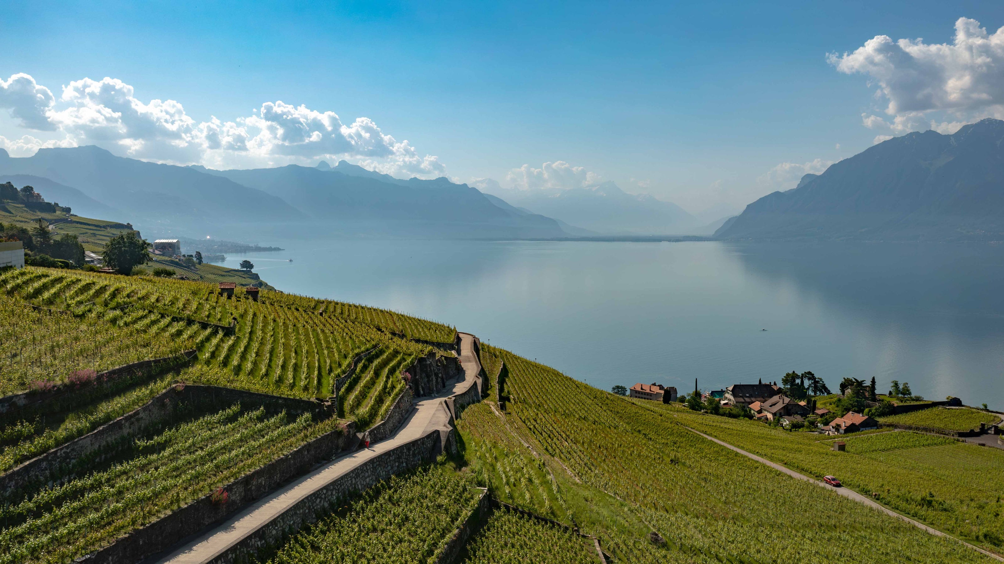 Vue panoramique sur les vignobles en terrasses de Lavaux, le lac Léman et les montagnes depuis Saint-Saphorin.