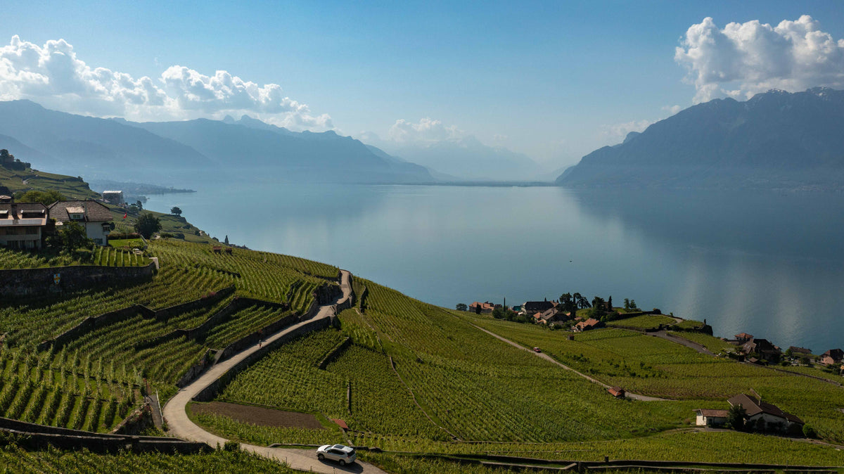 Vue panoramique sur les vignobles en terrasses de Lavaux, le lac Léman et les montagnes depuis Saint-Saphorin.